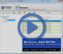 MS BKF Recovery